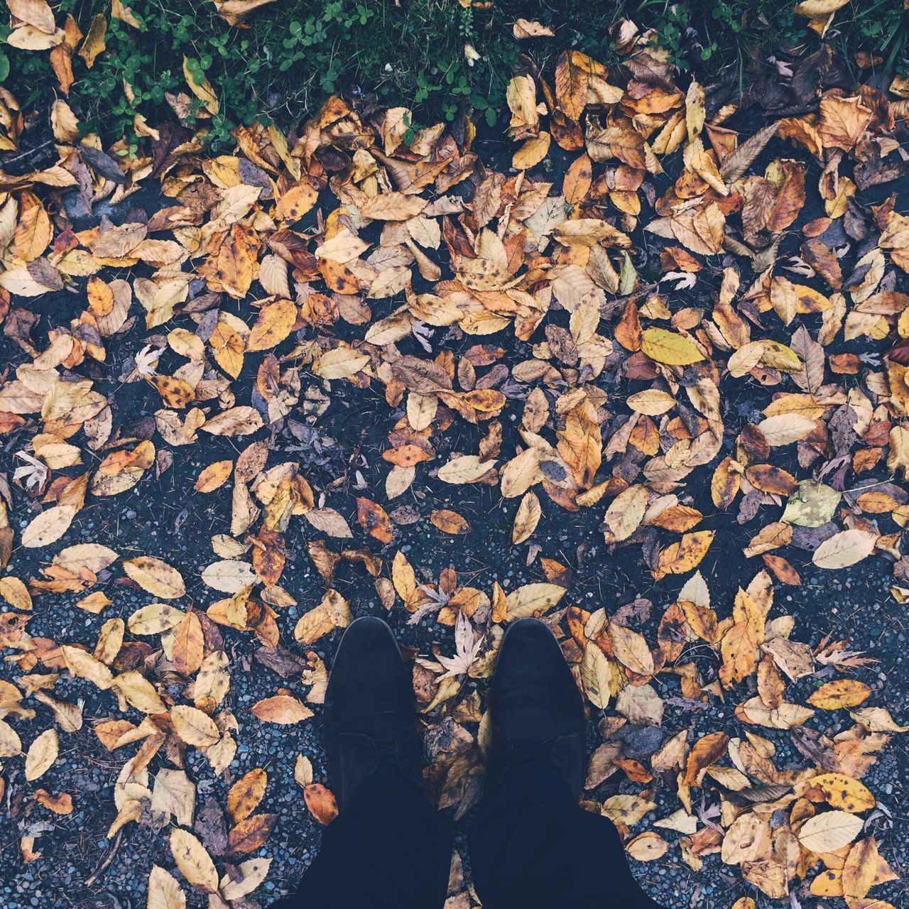 low section, high angle view, person, leaf, autumn, personal perspective, standing, dry, lifestyles, shoe, leaves, unrecognizable person, change, abundance, leisure activity, season, men