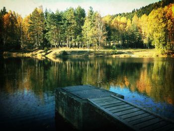 Reflection of trees in lake