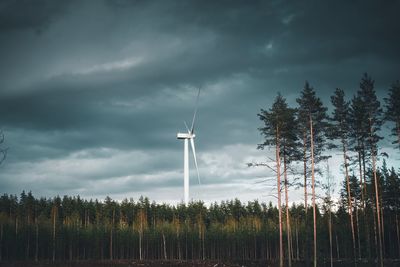 Plants growing on field against sky