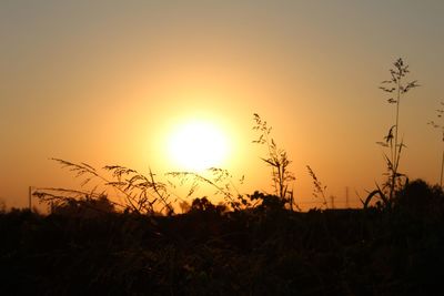 Silhouette plants on field against sky during sunset