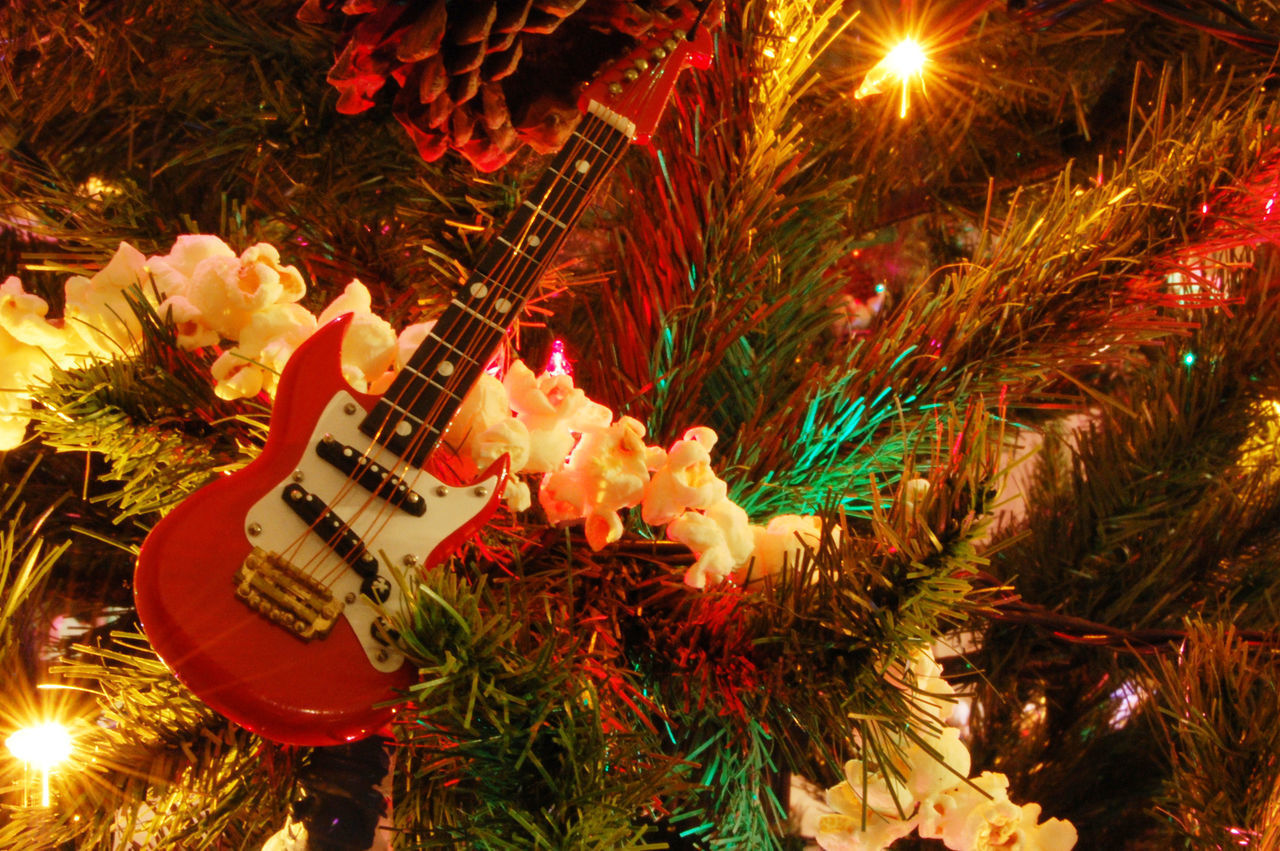 CLOSE-UP OF CHRISTMAS TREE AT NIGHT