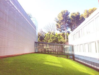 Built structure with trees in background