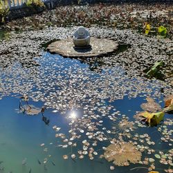 High angle view of floating on water