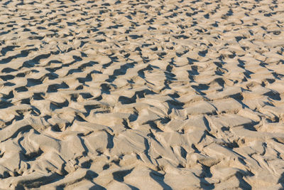 Full frame shot of sand dune