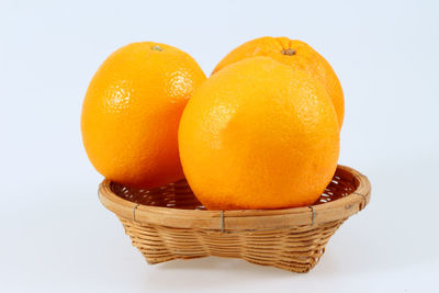 Close-up of orange fruit against white background