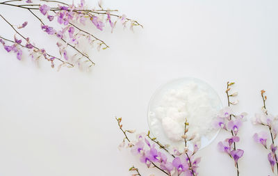 Close-up of cherry blossom against white background
