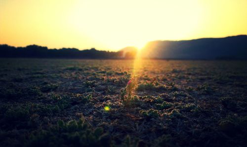 Sunset over landscape