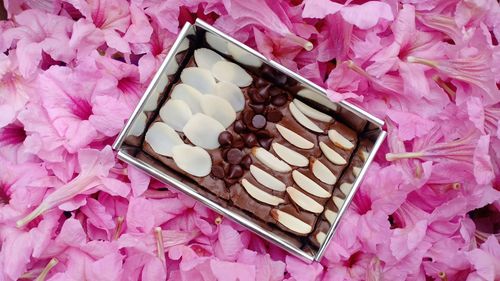 High angle view of chocolate cake on pink board