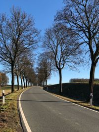 Empty road along trees and plants in city