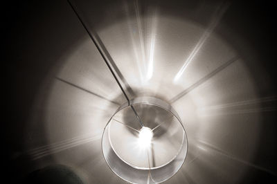 Illuminated light bulbs