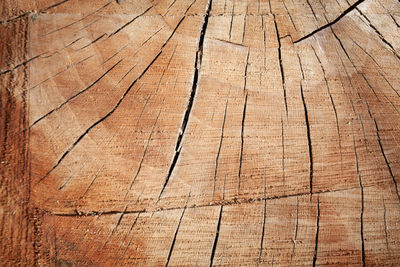 Full frame shot of weathered wooden plank