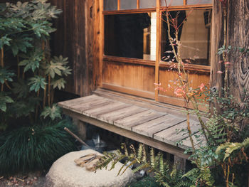 Potted plants in backyard