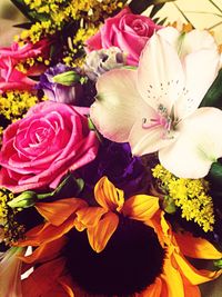 Close-up of flowers