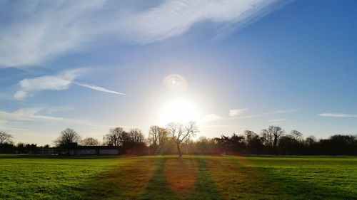 Scenic view of grassy field against sky