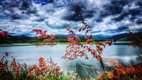 Scenic view of lake against cloudy sky