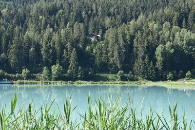 Scenic view of lake in forest with house