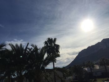 Low angle view of palm trees against sky