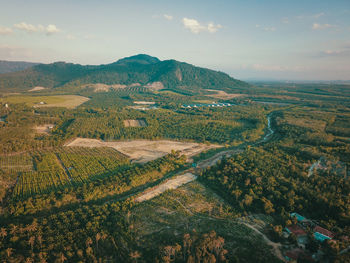 Aerial view of agricultural field against sky