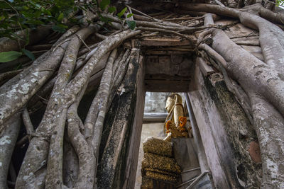 Low angle view of statue