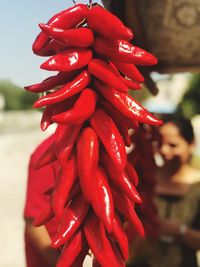 Close-up of red chili peppers