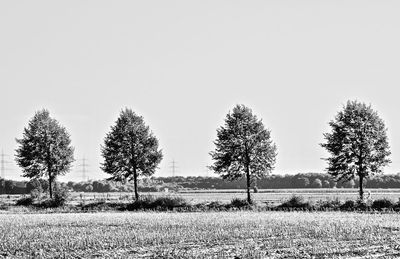 Trees on field against clear sky