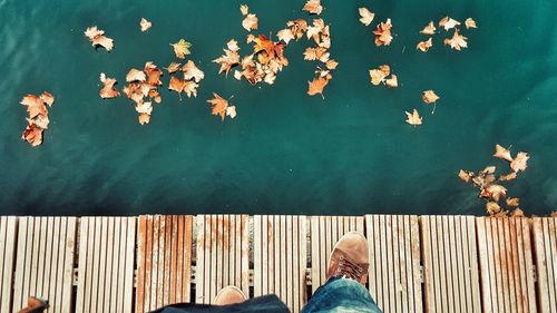 Low section of man standing on boardwalk by fallen leaves floating on lake