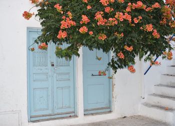 Flowers in front of door