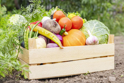 High angle view of pumpkins in basket