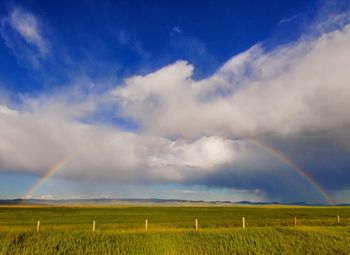 Scenic view of field against rainbow in sky
