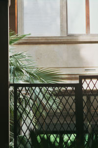 Close-up of metal fence against plants