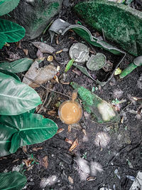 High angle view of rocks on field
