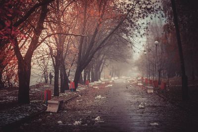 Empty road amidst trees during autumn