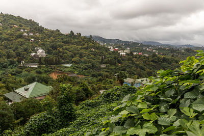 High angle view of trees and buildings against sky