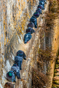 Reflection of people in water