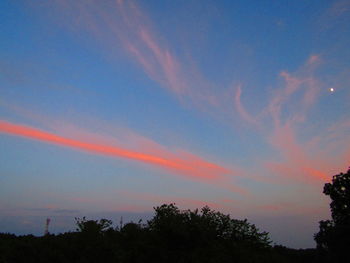 Low angle view of silhouette trees against sky at sunset