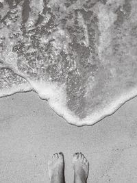 Low section of person standing on beach