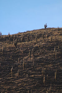 Low angle view of land against clear sky