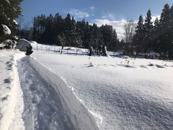 Trees on snow covered field against sky