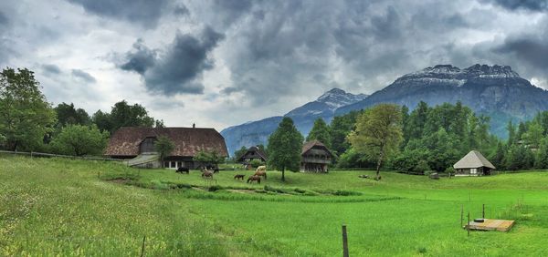 Scenic view of grassy field against cloudy sky