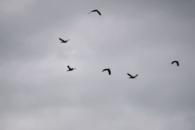 flying