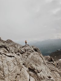 Rear view of man standing on rock formation against sky