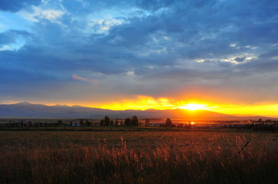 Scenic view of field against sky during sunset