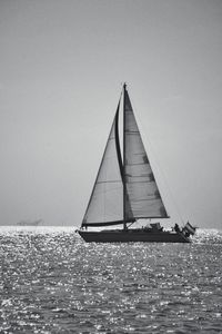 Sailboat sailing on sea against clear sky