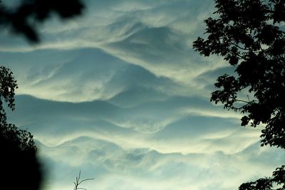 Low angle view of silhouette tree against sky