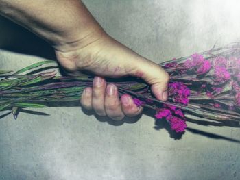 Close-up of hand holding flowers