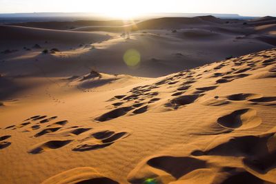 Scenic view of sahara desert during sunrise