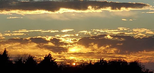 Low angle view of silhouette trees against sky during sunset