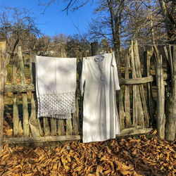 Clothes drying on tree trunk in forest