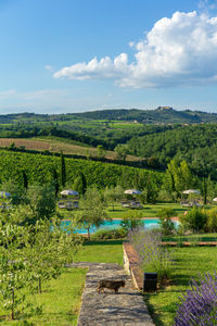 Scenic view of agricultural field against sky