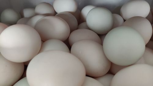 Full frame shot of eggs